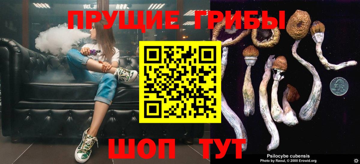 наркота  Галлюциногенные грибы мицелий  Галлюциногенные грибы прущие грибы  Вход с VPN  Петропавловск-Камчатский 